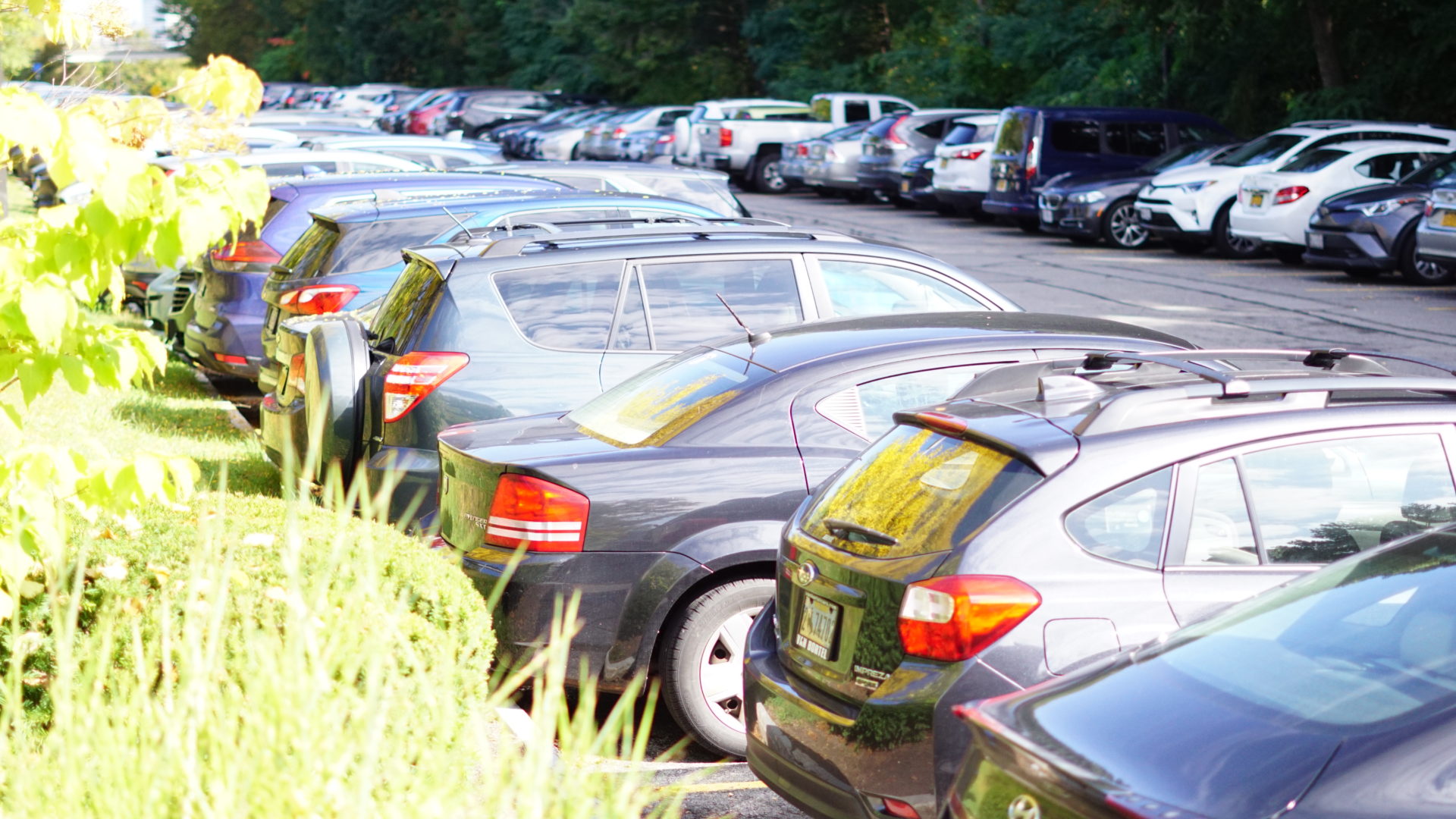Parking Enforcement NZ